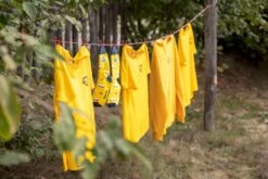 Easy Camp Palmdale 600 Tunneltent - 6 Persoons -Buitenuitrusting 1267 1900 waslijn 1