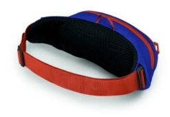 Osprey Daylite Heuptas - Blauw/Oranje 11 Osprey Daylite Heuptas - Blauw/Oranje -Buitenuitrusting 1900 1425 daylitewaist s23 sideback silverliningblueberry 10005144