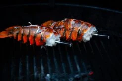 MEATER Block Met 4 Draadloze Thermometers -Buitenuitrusting 20190625 mg 6541