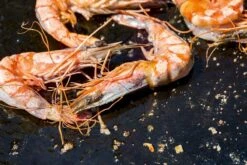 OFYR Kookboek 12 OFYR Kookboek -Buitenuitrusting 800 1200 cb no1 nl fr 3