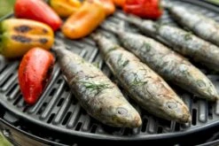 CADAC Grillo Chef 40 Gasbarbecue - BBQ 23 CADAC Grillo Chef 40 Gasbarbecue - BBQ -Buitenuitrusting 900 1348 grillo chef 40 bbq grid 1