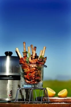 Cobb Premier+ Gas Gasbarbecue - Grijs 23 Cobb Premier+ Gas Gasbarbecue - Grijs -Buitenuitrusting cobb premier 3 1